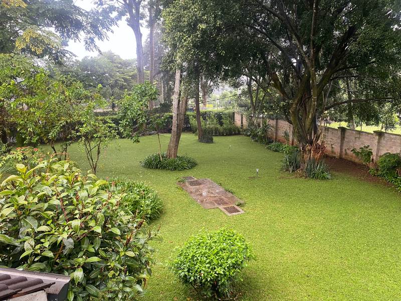 Naivasha Park - Gallery 21